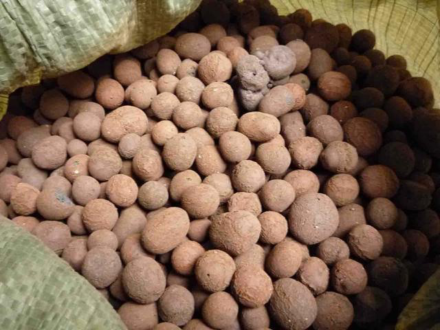 江西達(dá)人建材建筑回填陶粒 江西達(dá)人建材建筑回填陶粒